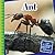 Ant (21st Century Junior Library: Creepy Crawly Critters)
