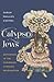 Calypso Jews: Jewishness in the Caribbean Literary Imagination (Literature Now)