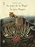 Au pays de la Magie – În ţara Magiei by Henri Michaux