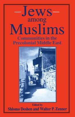 Jews among Muslims: Communities in the Precolonial Middle East (Paperback)