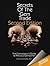 Secrets of the Gem Trade: The Connoisseur's Guide to Precious Gemstones