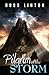 Pilgrim of the Storm (Storm...