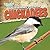 A Bird Watcher's Guide to Chickadees (Backyard Bird Watchers, 3)
