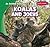 Koalas and Joeys (An Animal Family)