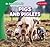 Pigs and Piglets (An Animal Family)