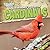 A Bird Watcher's Guide to Cardinals by Therese Shea
