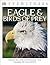 Eagle & Birds of Prey