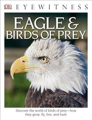 Eagle & Birds of Prey (Paperback)