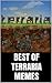 Best of Terraria Memes