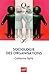 Sociologie des organisations