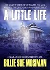 A Little Life by Billie Sue Mosiman