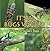 Its A Bugs World: Scary and Spooky Bugs: Insects for Kids - Entomology (Children's Zoology Books)