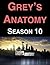 Grey's Anatomy: Season 10
