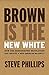 Brown Is the New White: How the Demographic Revolution Has Created a New American Majority