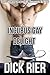 Incubus Gay Delight (The Gay Genie Chronicle 26)