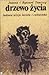 Drzewo życia. Ludowa wizja świata i człowieka by Joanna Tomicka