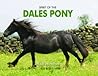 Spirit of the Dales Pony Spirit of the Dales Pony