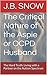 The Critical Nature of the Aspie or OCPD Husband: The Hard Truth: Living with a Partner on the Autism Spectrum (Transcend Mediocrity Book 15)