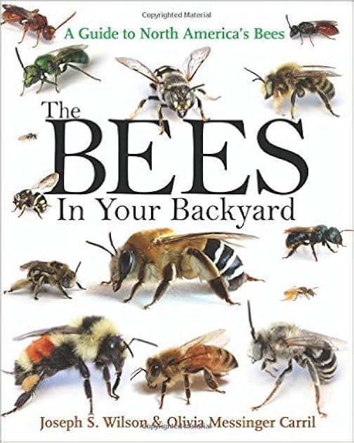 The Bees in Your Backyard: A Guide to North America's Bees