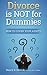 Divorce is Not for Dummies by Nancy A. Hetrick