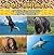 Cool Animals: In The Air, On Land and In The Sea: Animal Encyclopedia for Kids - Wildlife (Children's Animal Books)