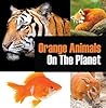 Orange Animals On The Planet by Baby Professor