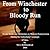 From Winchester to Bloody Run by Jeff Whetstone