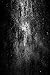Black Hole: 200 Aphorisms, Fragments and Musings on Antinatalism, Pessimism and the Tragedy of Existence