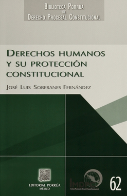 Derechos Humanos y su protección constitucional
