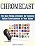 Chromecast: The Best Media Streamer for Enjoying Online Entertainment in Your Home (Chromecast, How to Use Chromecast, youtube chromecast)