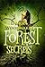 Forest Secrets