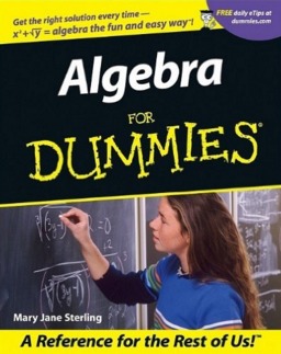 Algebra For Dummies (Paperback)