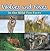 Wolves and Foxes in the Wild Fun Facts: Animal Encyclopedia for Kids - Wildlife (Children's Animal Books)