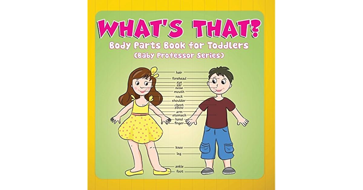 What is a book report picture