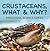 Crustaceans, What & Why? : Preschool Science Series: Marine Life and Oceanography for Kids Pre-K Books (Children's Oceanography Books)