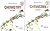 Comprehensive Chemistry For Class 12 (Set Of 2 Volume) (2019-2020) Examination (In Two Vol)