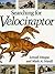 Searching for Velociraptor