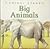 Big Animals