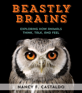 Beastly Brains: Exploring How Animals Think, Talk, and Feel (Hardcover)