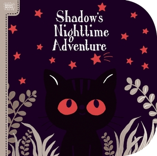 Bright Books: Shadow's Nighttime Adventure (Board book)