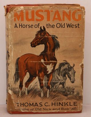 Mustang, a horse of the old west