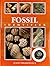Fossil Identifier (Identifier)