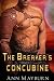 The Breaker's Concubine (The Concubine Chronicles, #1)