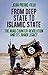 From Deep State to Islamic State: The Arab Counter-Revolution and its Jihadi Legacy (CERI Series in Comparative Politics and International Studies)