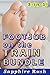 Footjob on the Train Bundle (public sex foot fetish) (Foot Fetish Fantasies Book 4)
