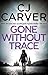 Gone Without Trace (Jay McC...
