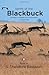 Sprint of the Blackbuck by S. Theodore Baskaran