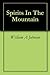 Spirits In The Mountain by William A. Johnson