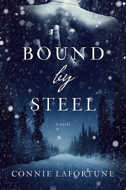 Bound by Steel (Kindle Edition)