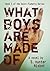 What Boys Are Made of (Saint Flaherty, #1)